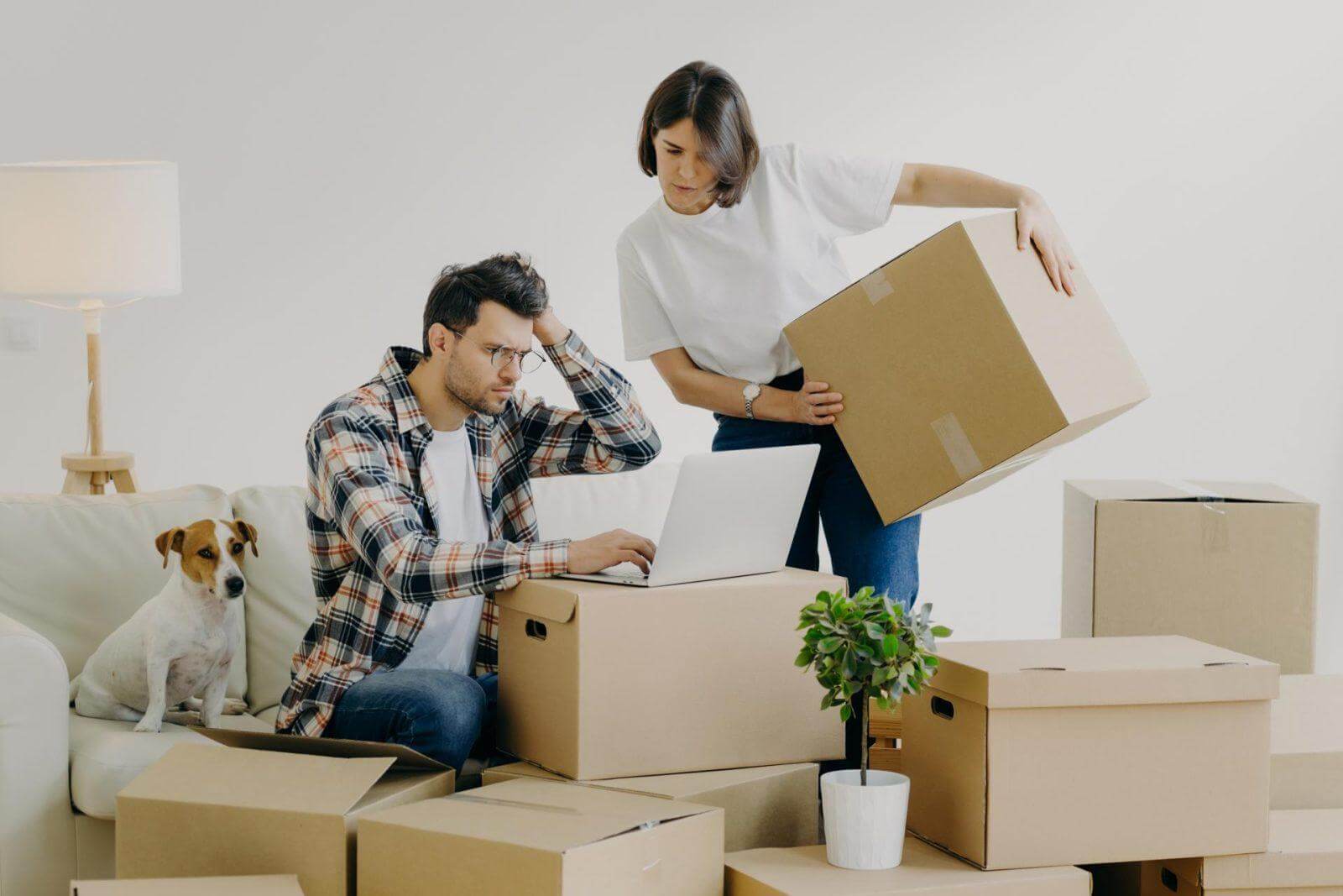 Frustrated young man uses modern laptop computer for searching for moving logistics online, woman moves big boxes with personal belongings.